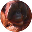 Elnn profile picture