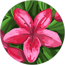 Victoria C. profile picture